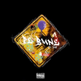 pebune (feat. zyf) Inspire