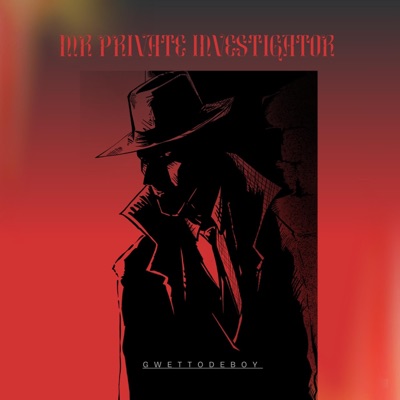 Mr Private Investigator