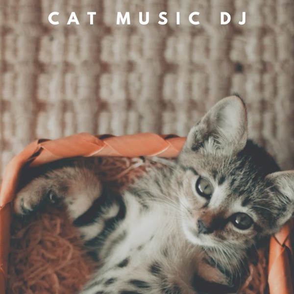 Calm Cat