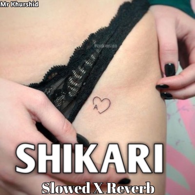 Mr Khurshid - Shikari Slowed X Reverb