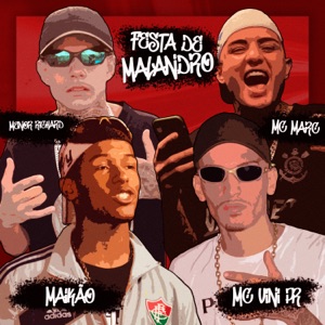 Festa de Malandro (feat. BDP NA CENA, Maikão & MC Vini PR)