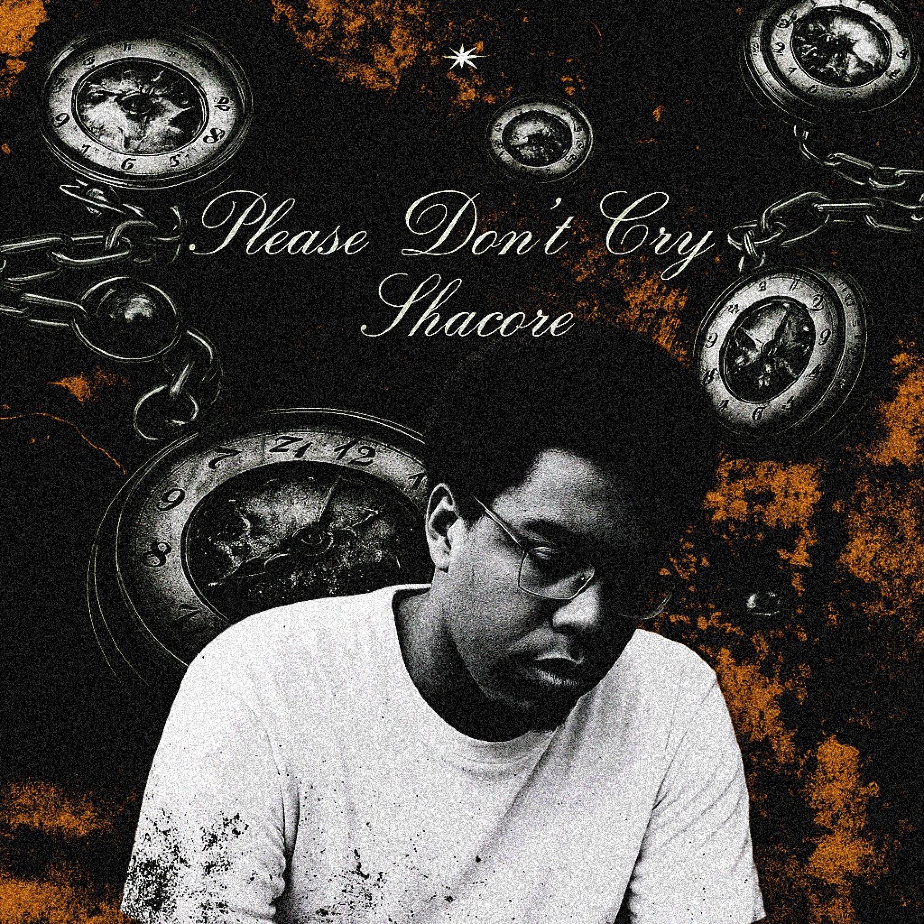 Please Don't Cry - Single