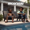 Mngan'wamii - Single