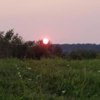 voices screaming - Single - HXDY