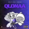 QLONAA cover art