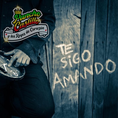 Te Sigo Amando - Single