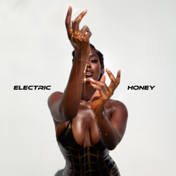 Electric Honey - Tanerélle Cover Art