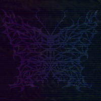 Digital Butterfly - Single - sleeplessnights