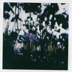 Runamo - Single