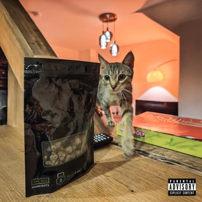 FAVOUR (feat. Kanisterkopf, Horst & matas) - Single