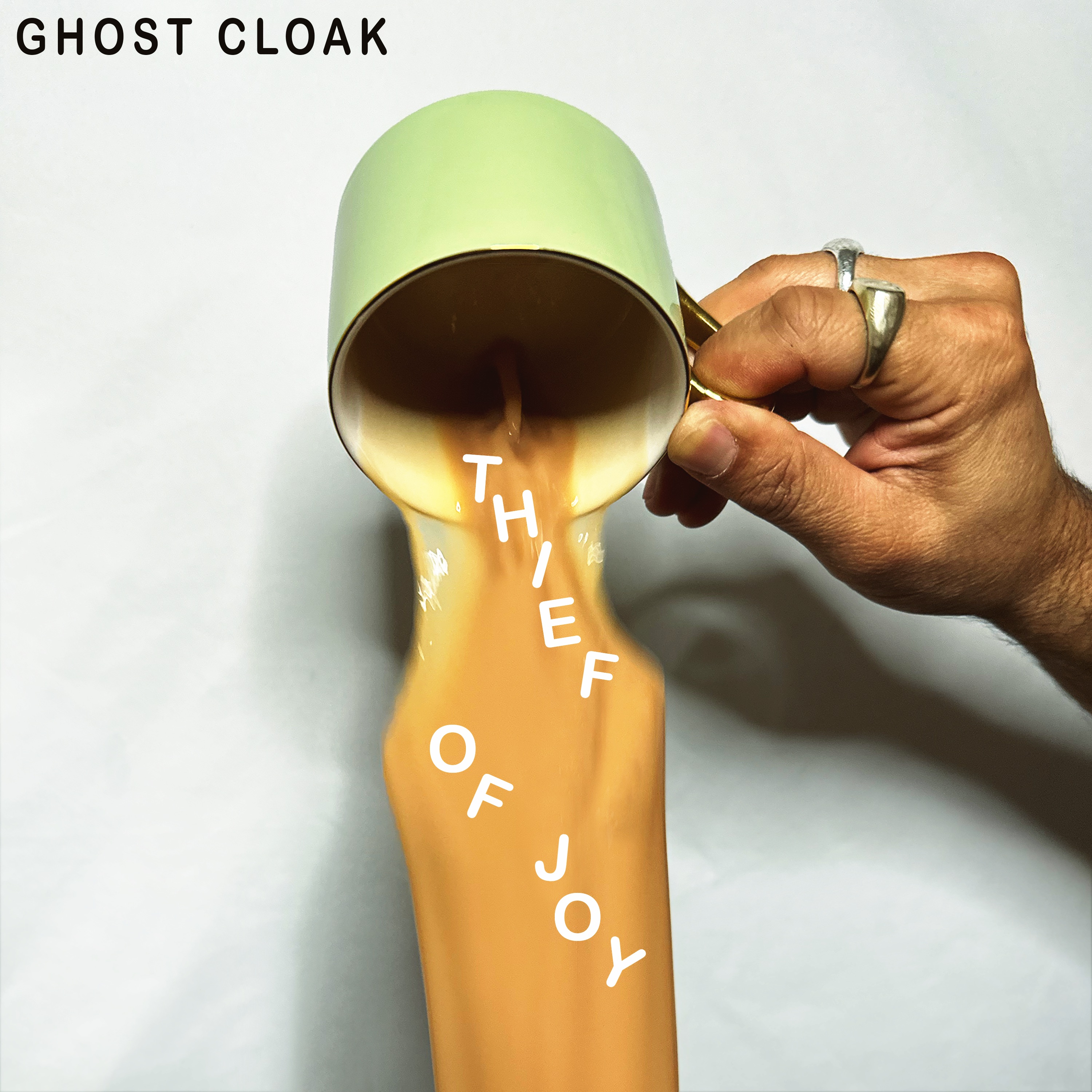 Thief of Joy - Single