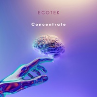Concetrate - Single - Ecotek