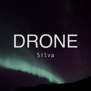 Silva - Single