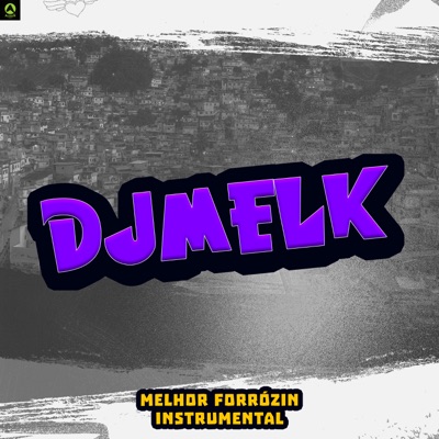 Melhor Forrózin Instrumental - Single