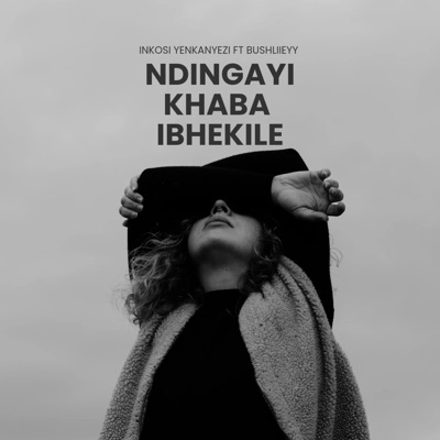 Ndingayi khaba ibhekile (feat. BushliieyY) - Single
