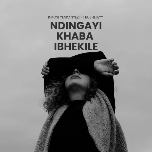 Ndingayi khaba ibhekile (feat. BushliieyY)
