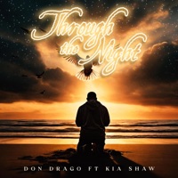 Through The Night (feat. Kia Shaw) - Single