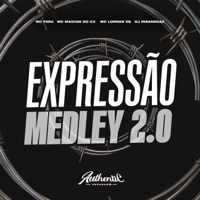 Expressão Melody 2.0 (feat. MC Lorran ZS) - Single - Dj Insanegaz, Mc Fera & MC MAICOM DO CPX