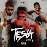 TESLA (feat. LIONTARY) - Single - YOVNGFELO