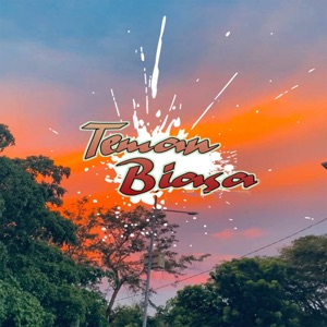 Teman Biasa Album Art