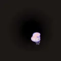 Atom