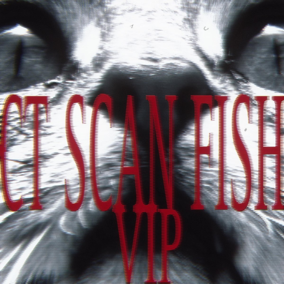 ‎CT SCAN FISH (VIP) - Single - Album by vixorr - Apple Music