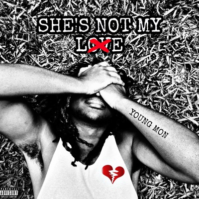 She's Not My Love (All Versions) - Single