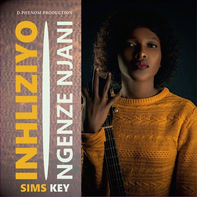 Inhliziyo, Ngenze Njani (feat. Sims key) - Single