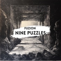 Nine Puzzles - Single - Fuzion