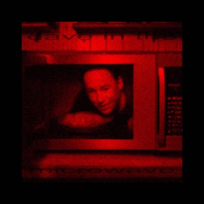 Dave in the Microwave - Single