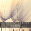 Close to Nature - The Handpan Pact