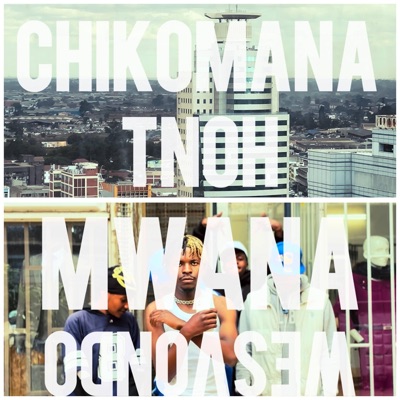 Mwana WeSvondo - Single