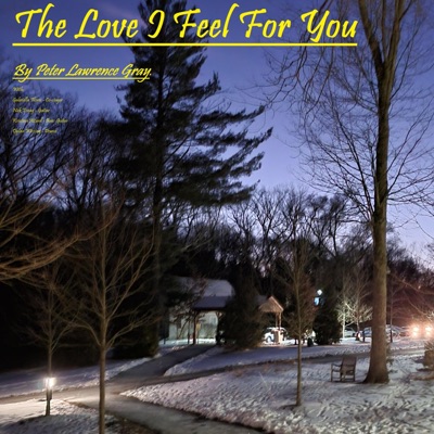 The Love I Feel For You (feat. Gabriela Flores) - Single