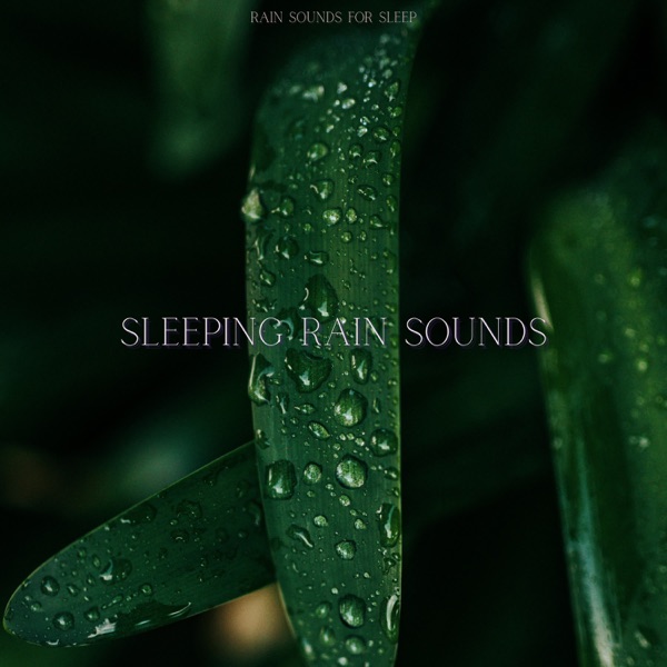 Sleeping Rain Sounds