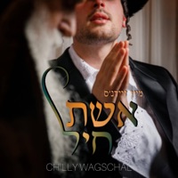 מיין זיידנ׳ס אשת חיל - Single - Chilly Wagschal