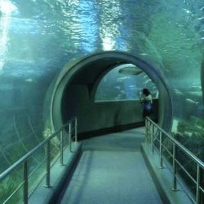 l'arc en ciel - Single