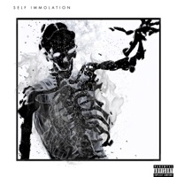 Self Immolation (feat. Eric & Lotti) - Single - MunjiDragonfly