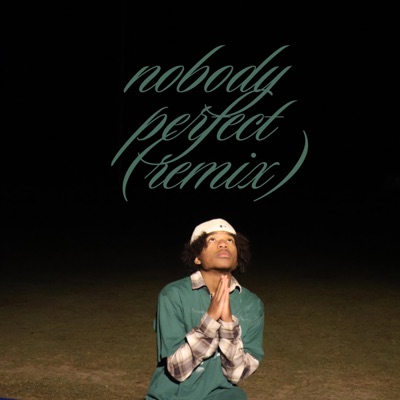 nobody perfect (remix) - Single