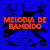 Melodia de Bandido (feat. MC LERES, Mc Roba Cena & Mc Fera) - Single - DJ Patrick Muniz & DJ MP7 013