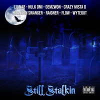 Still Stalkin (feat. Hulk DMI, Demzwon, Crazy Mista D, Brandon Swanger, Raigner, Flow Productionz & WyteOut) - Single - Lil Na8