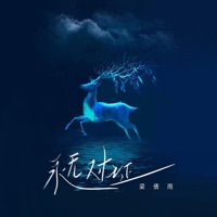 永无对证 - Single - 梁倩雨
