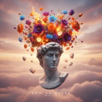Now or Never - Single - NVLS