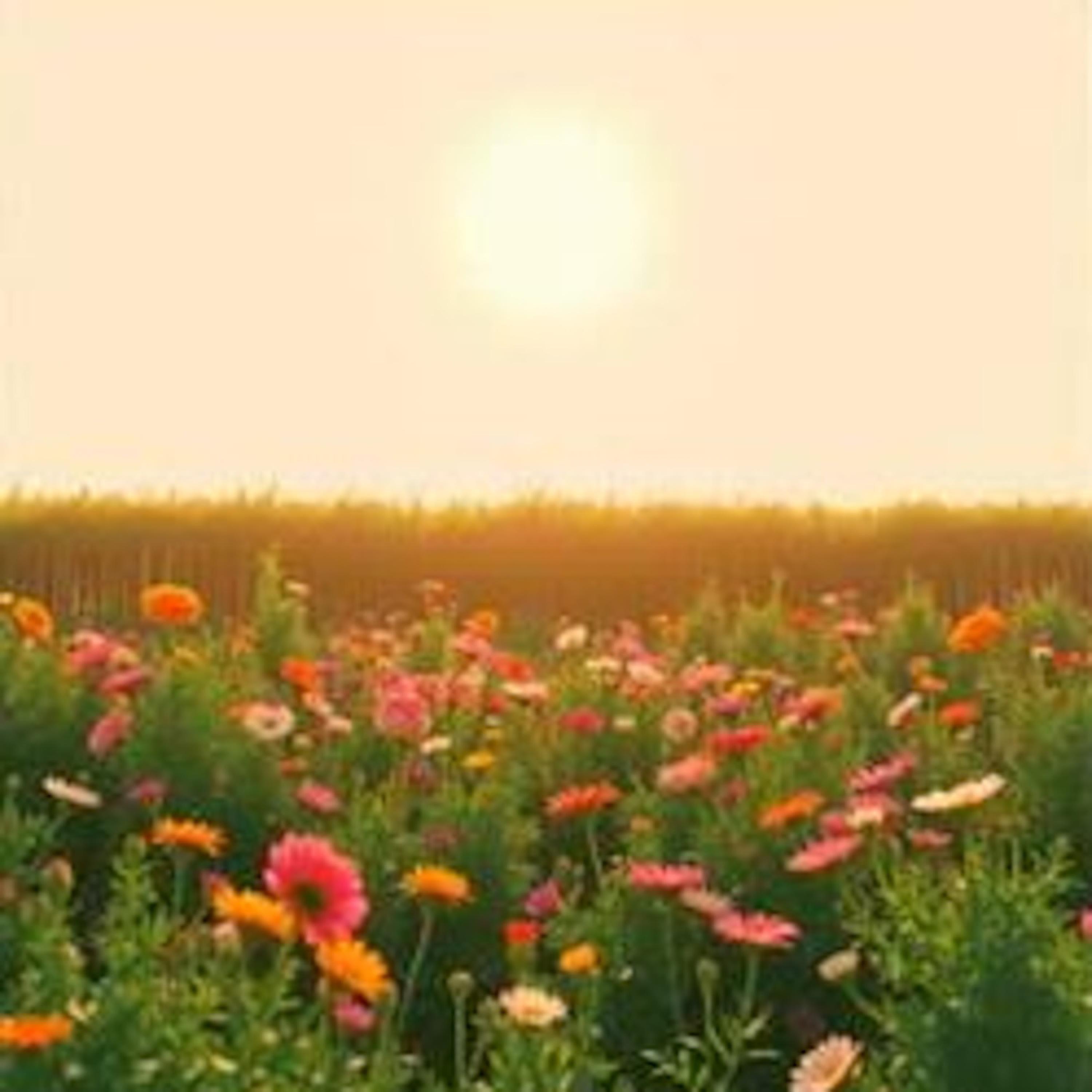 The Most Beautiful Thing - Single