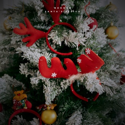 Santa's Sleigh - Single