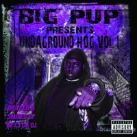 Undaground Hog, Vol. 1 (Dripped & Sauced Up) [feat. Cj Da Dj] - Big Pup