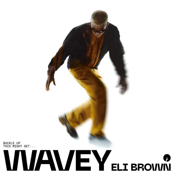Wavey \(Linska Remix\) by Eli Brown – Apple Music
