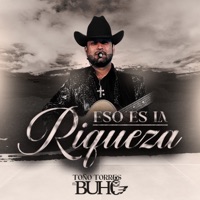 Eso Es La Riqueza - Single - Toño Torres El Buho