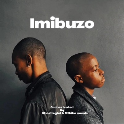 Imibuzo (feat. Mthibo vocals) - Single