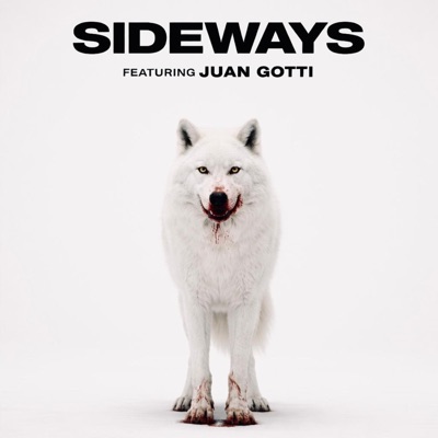 Sideways (feat. Juan Gotti) - Single