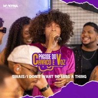 Sinais / I Don't Want To Miss a Thing - Single - Willian Kessley & HERCULA